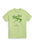 Light green t-shirt with 'The Desert Rose' graphic design on a white background