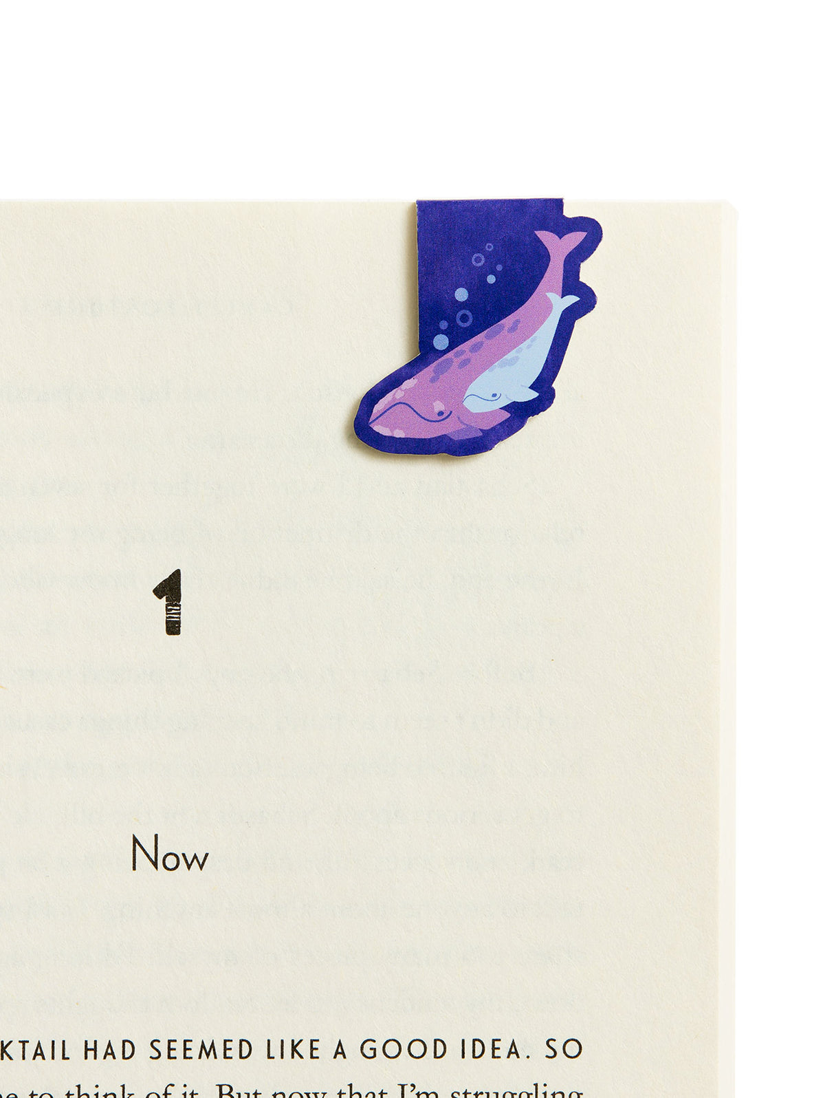 Carley Fortune: Our Perfect Storm magnetic bookmark set — Out of Print