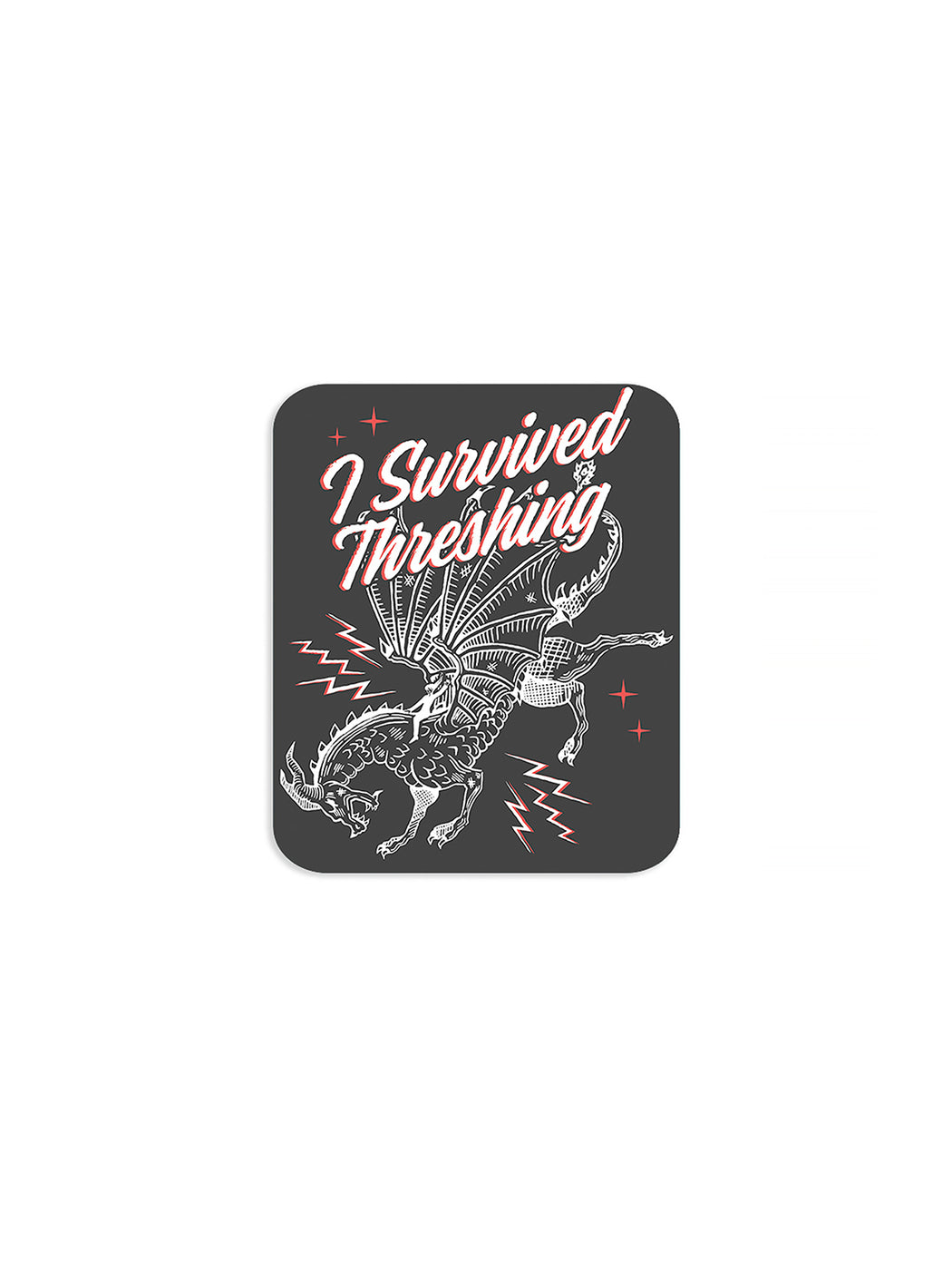 Fourth Wing: Dragon Rider Stickers - Set of 4 — Out of Print