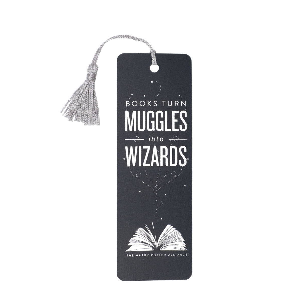 From Muggles to Wizards: Harry Potter Books 2